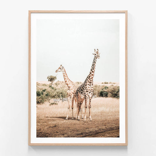 Giraffe Goals