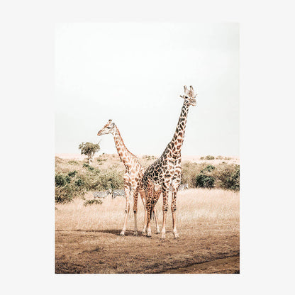 Giraffe Goals