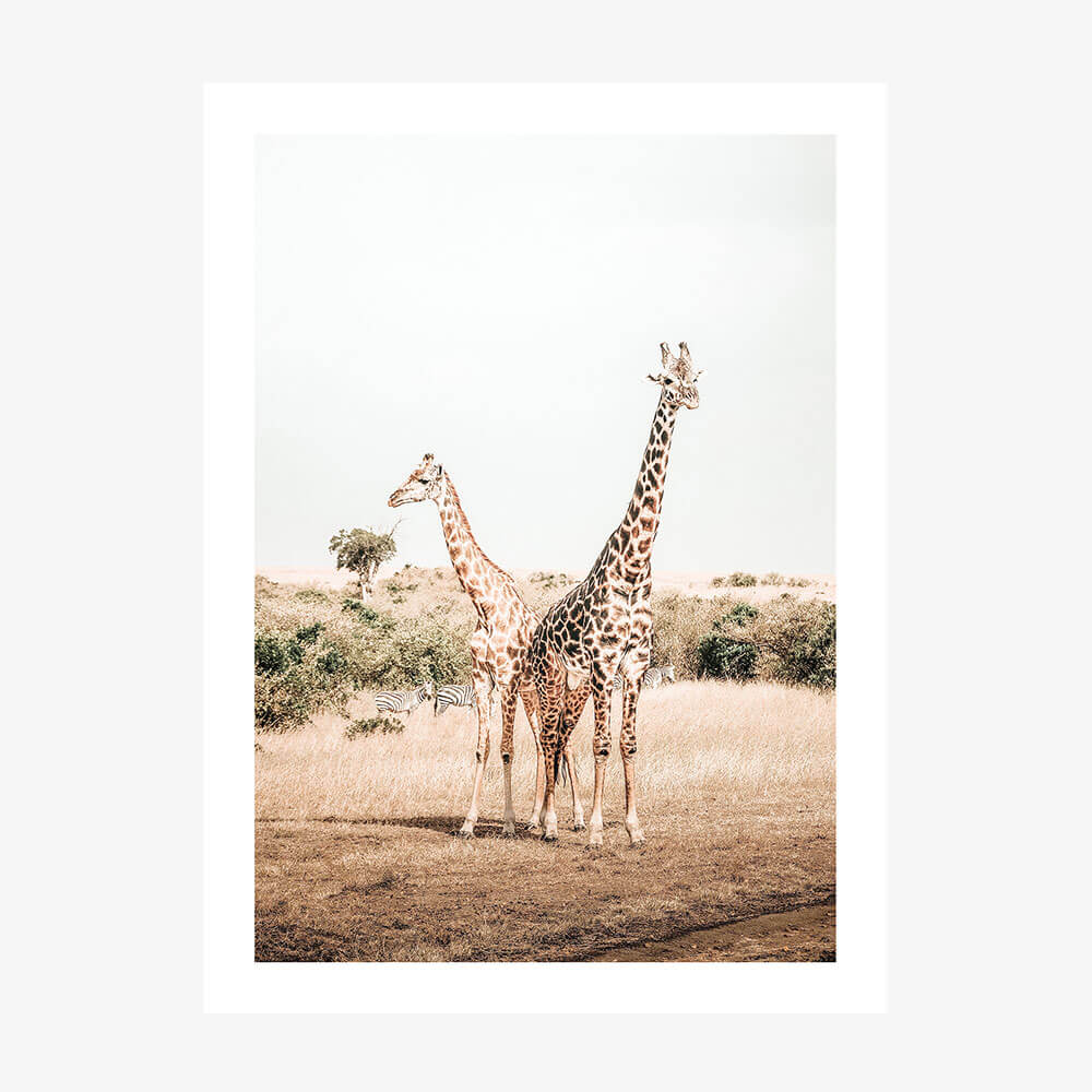 Giraffe Goals
