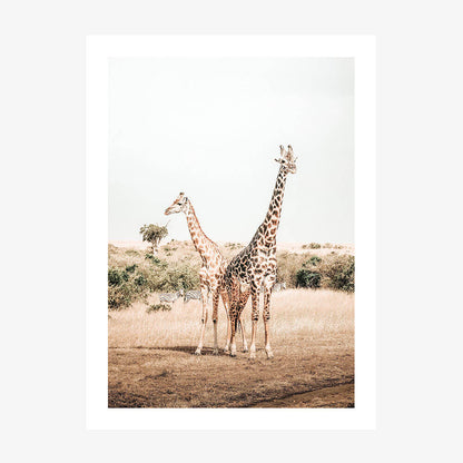 Giraffe Goals