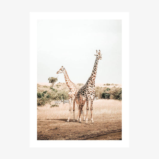 Giraffe Goals