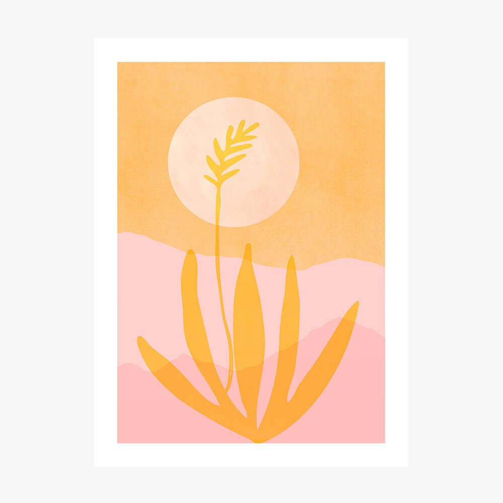 Golden Agave Sunset