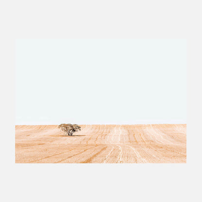 Golden Harvest