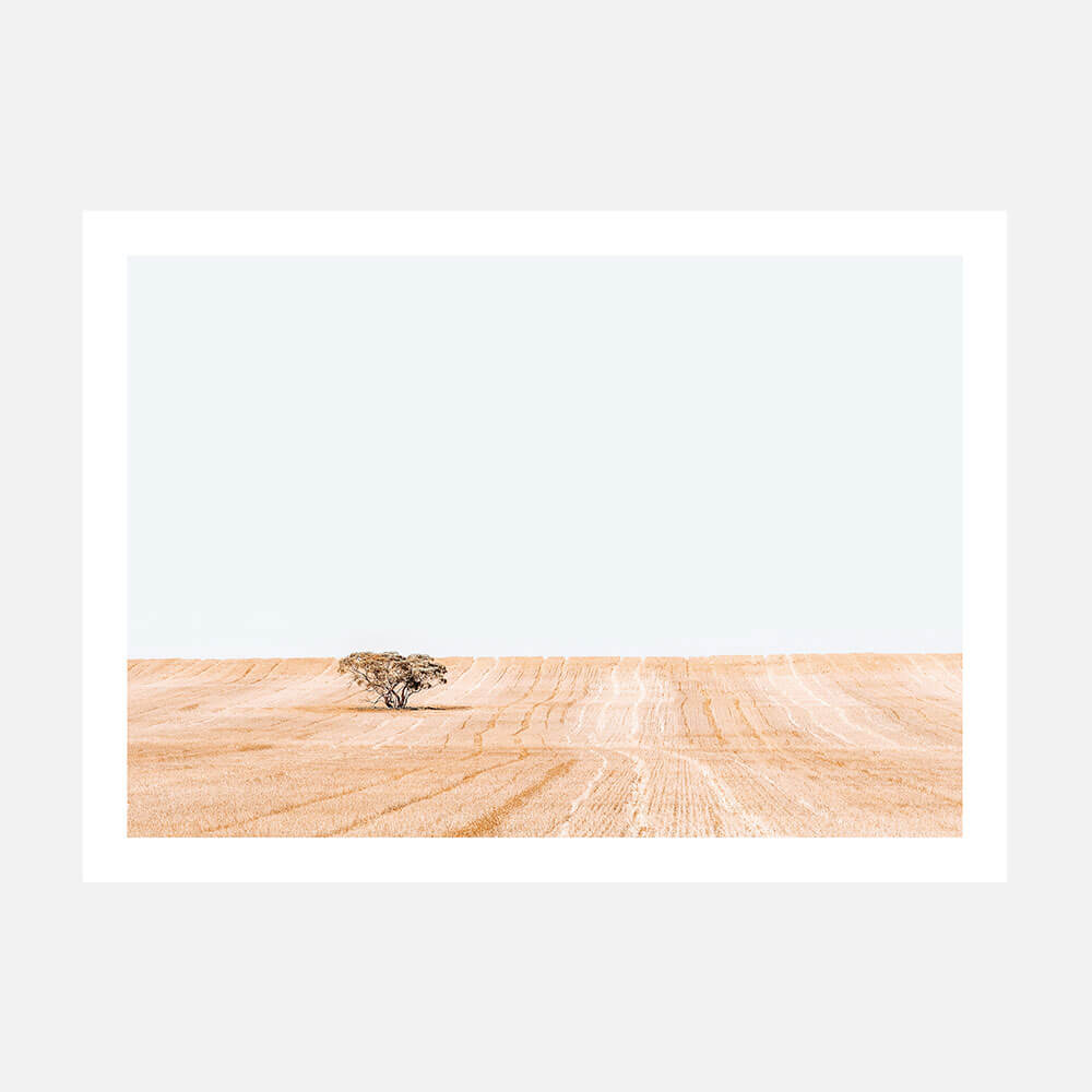 Golden Harvest