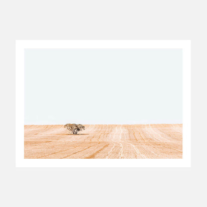 Golden Harvest