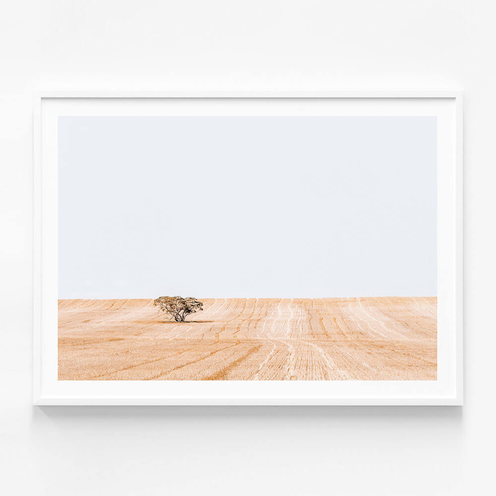 Golden Harvest