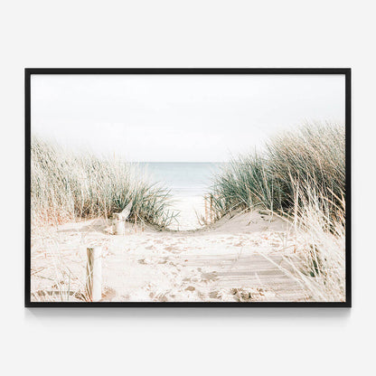 Grassy Dunes