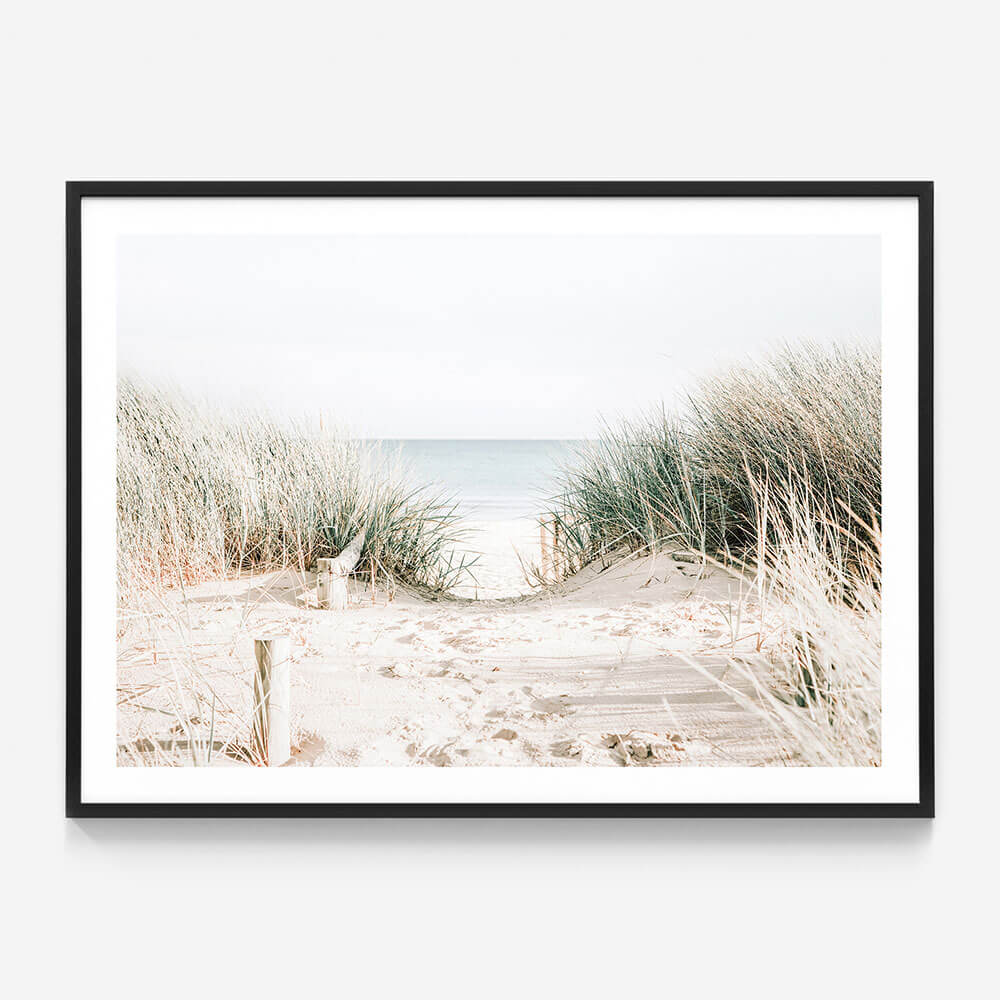 Grassy Dunes