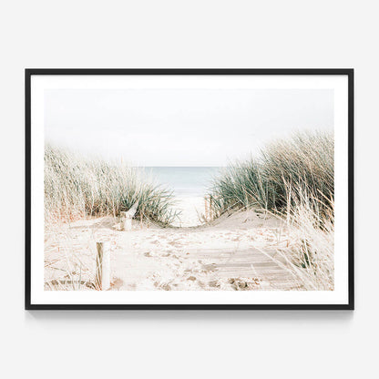 Grassy Dunes