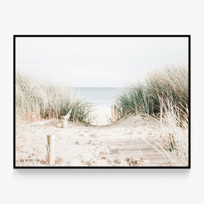 Grassy Dunes Canvas