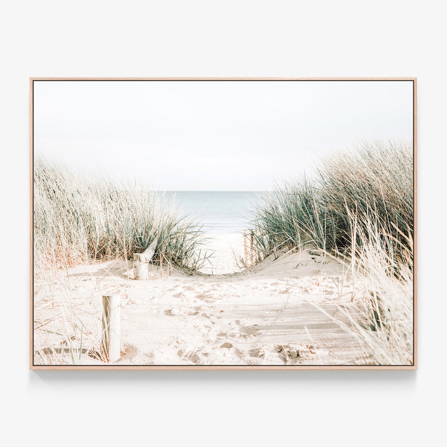 Grassy Dunes Canvas