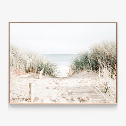 Grassy Dunes Canvas