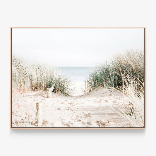 Grassy Dunes Canvas