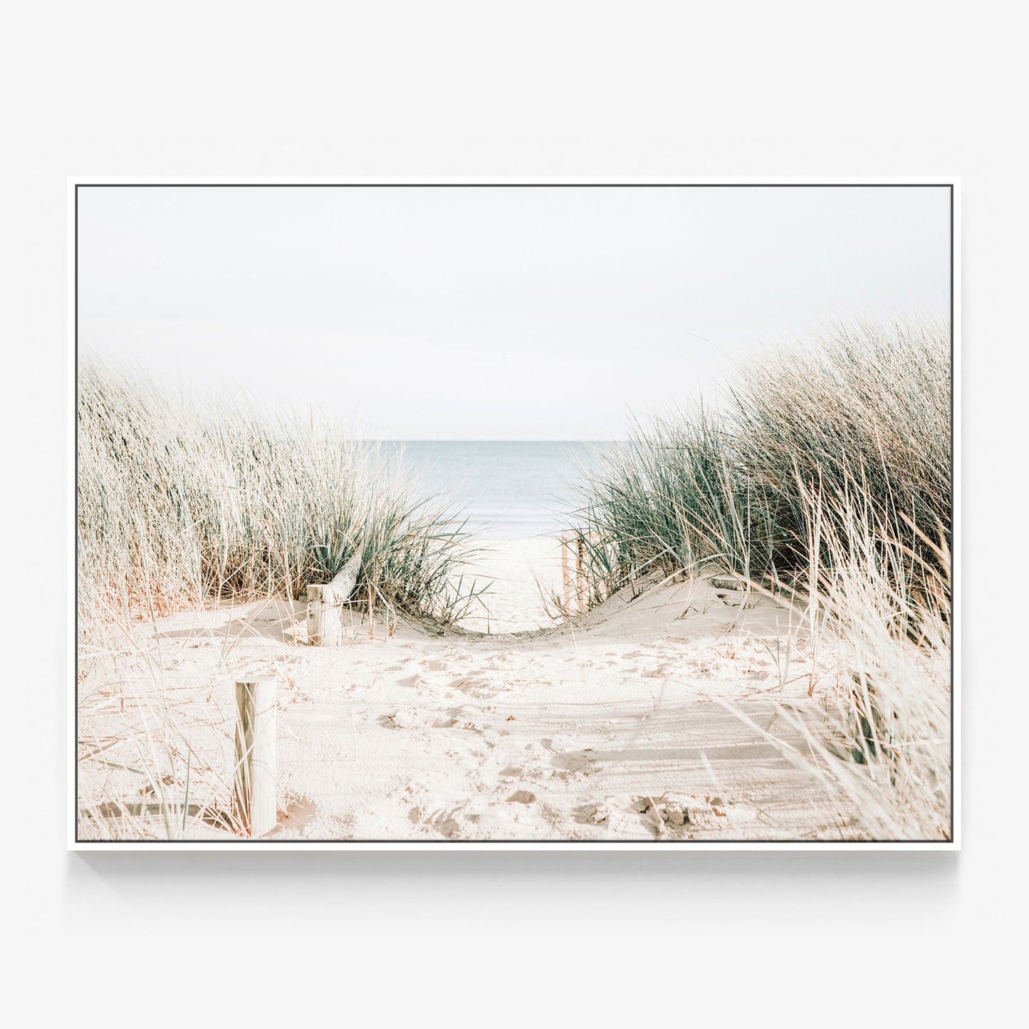 Grassy Dunes Canvas