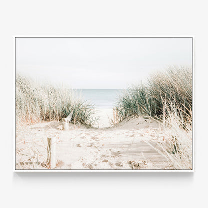 Grassy Dunes Canvas