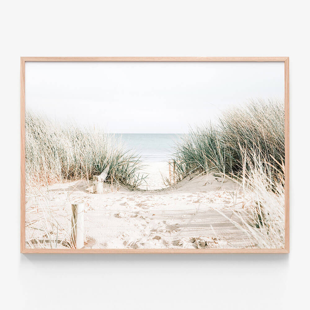 Grassy Dunes