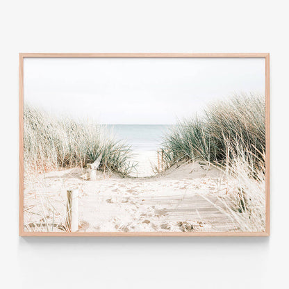 Grassy Dunes