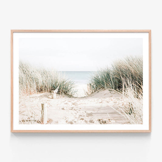 A coastal framed wall art print featuring a beach scene of a path leading to the ocean with tall grass