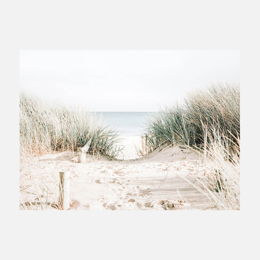 Grassy Dunes