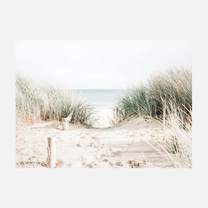 Grassy Dunes