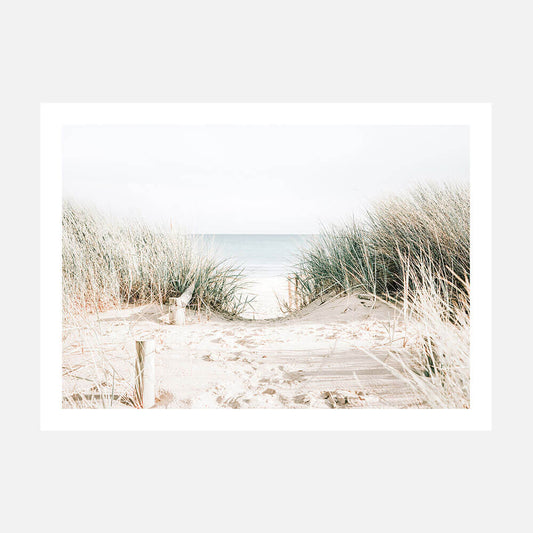 A photo print of a coastal scene with grass along the beach leading to the ocean