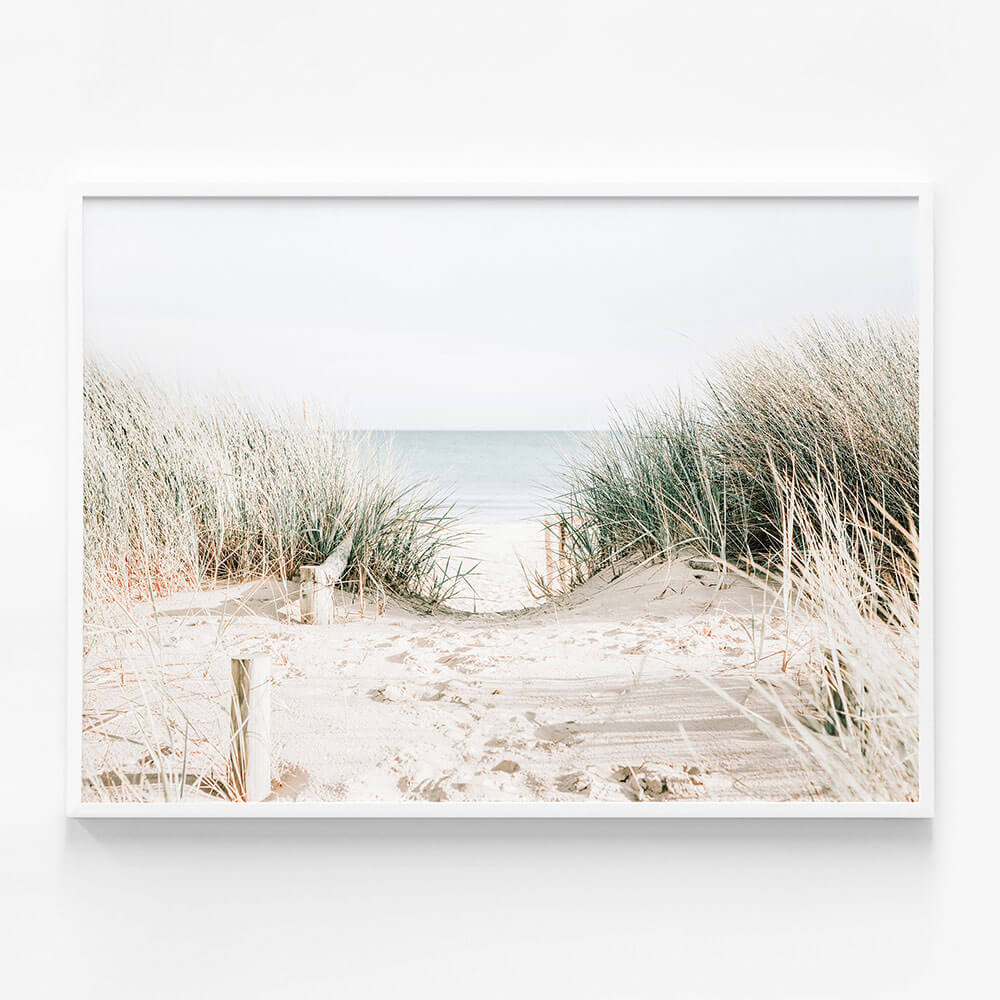 Grassy Dunes