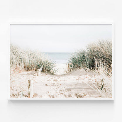 Grassy Dunes