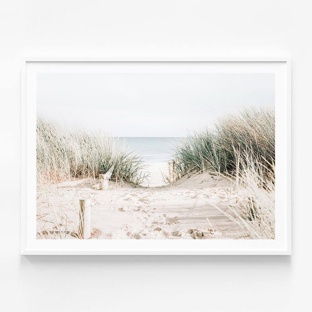 Grassy Dunes