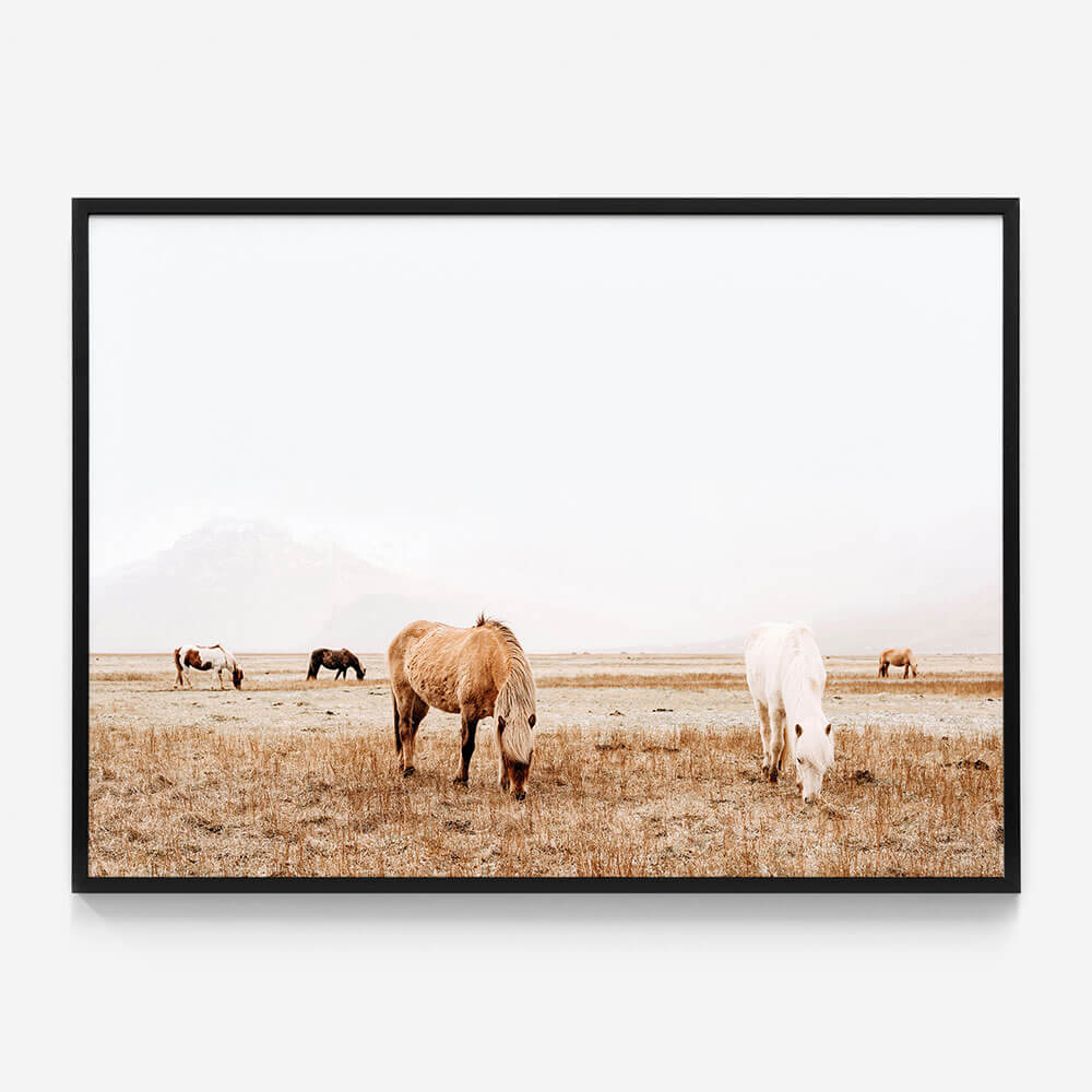 Grazing