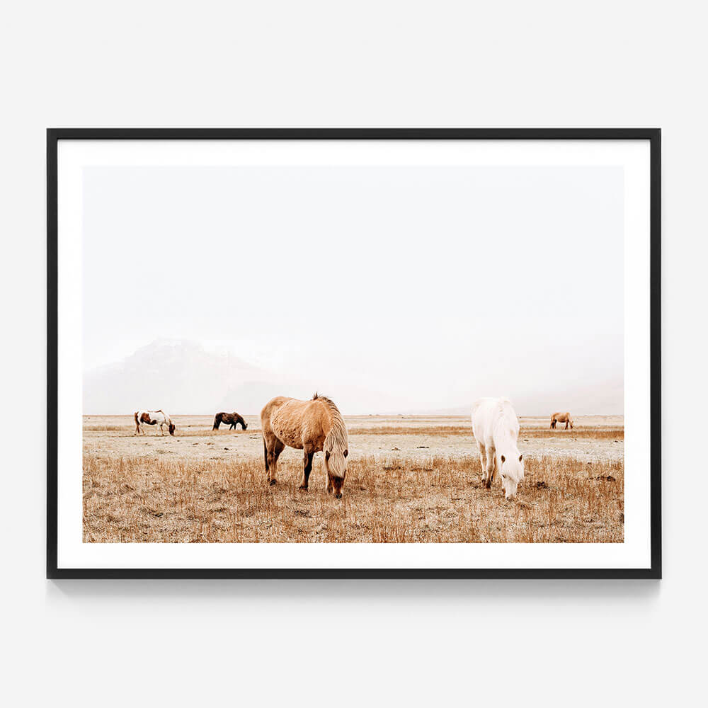 Grazing