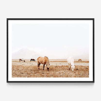 Grazing