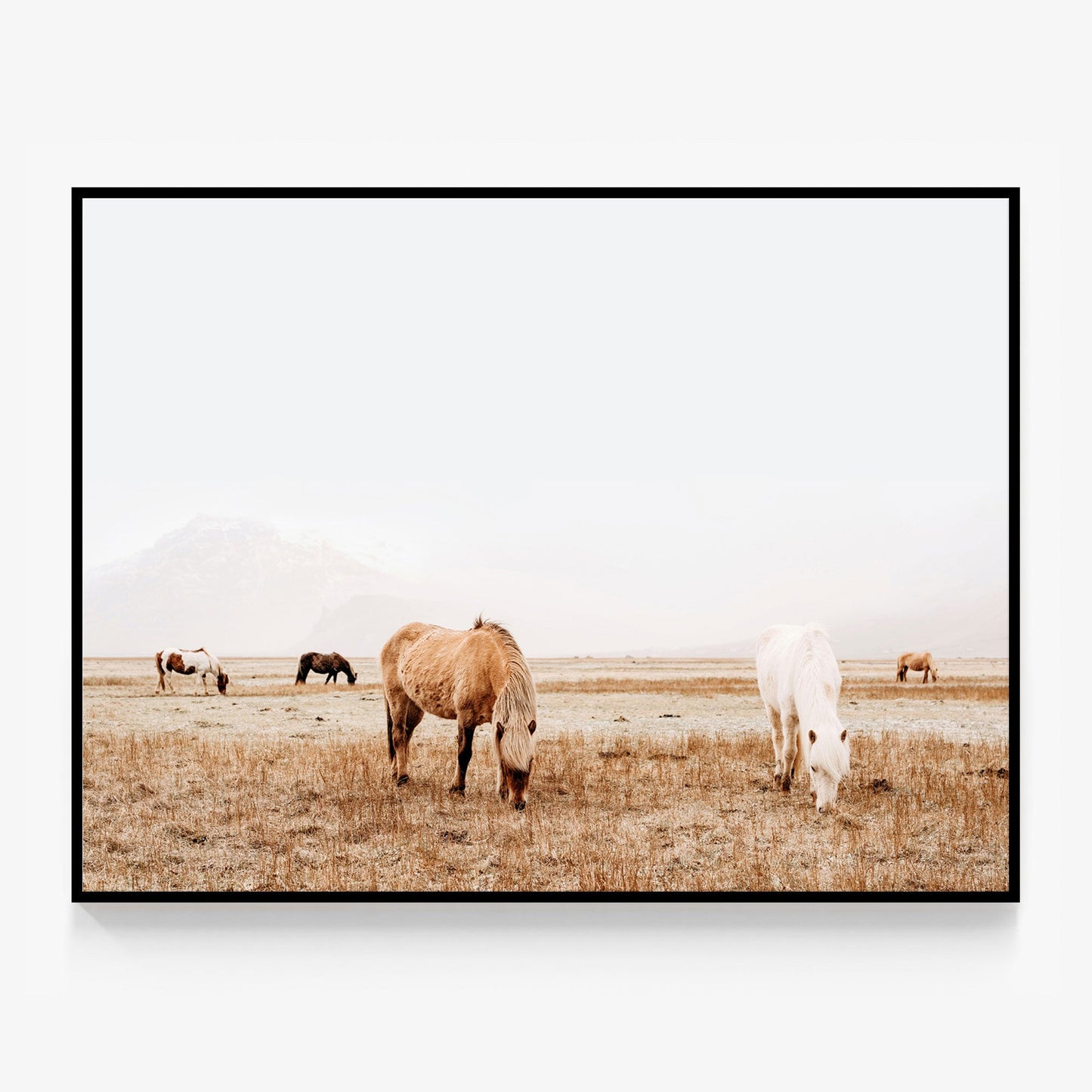 Grazing Canvas