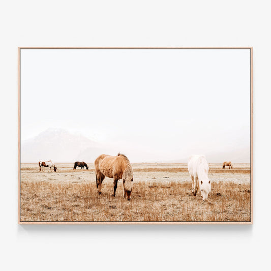 Grazing Canvas wall art with oak float frame