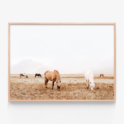 Grazing