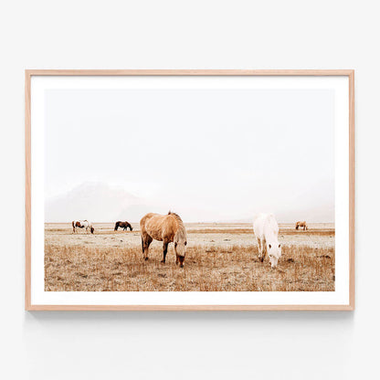 Grazing