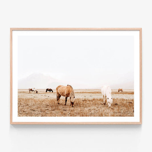 Grazing