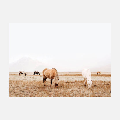 Grazing