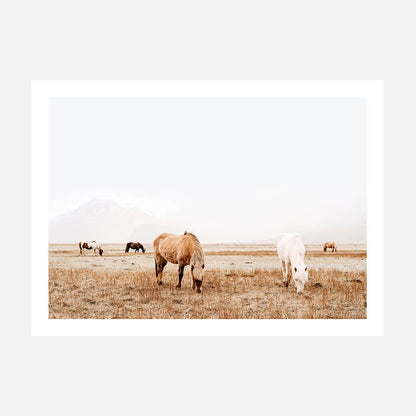 Grazing