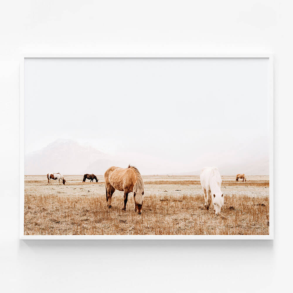 Grazing
