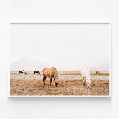 Grazing