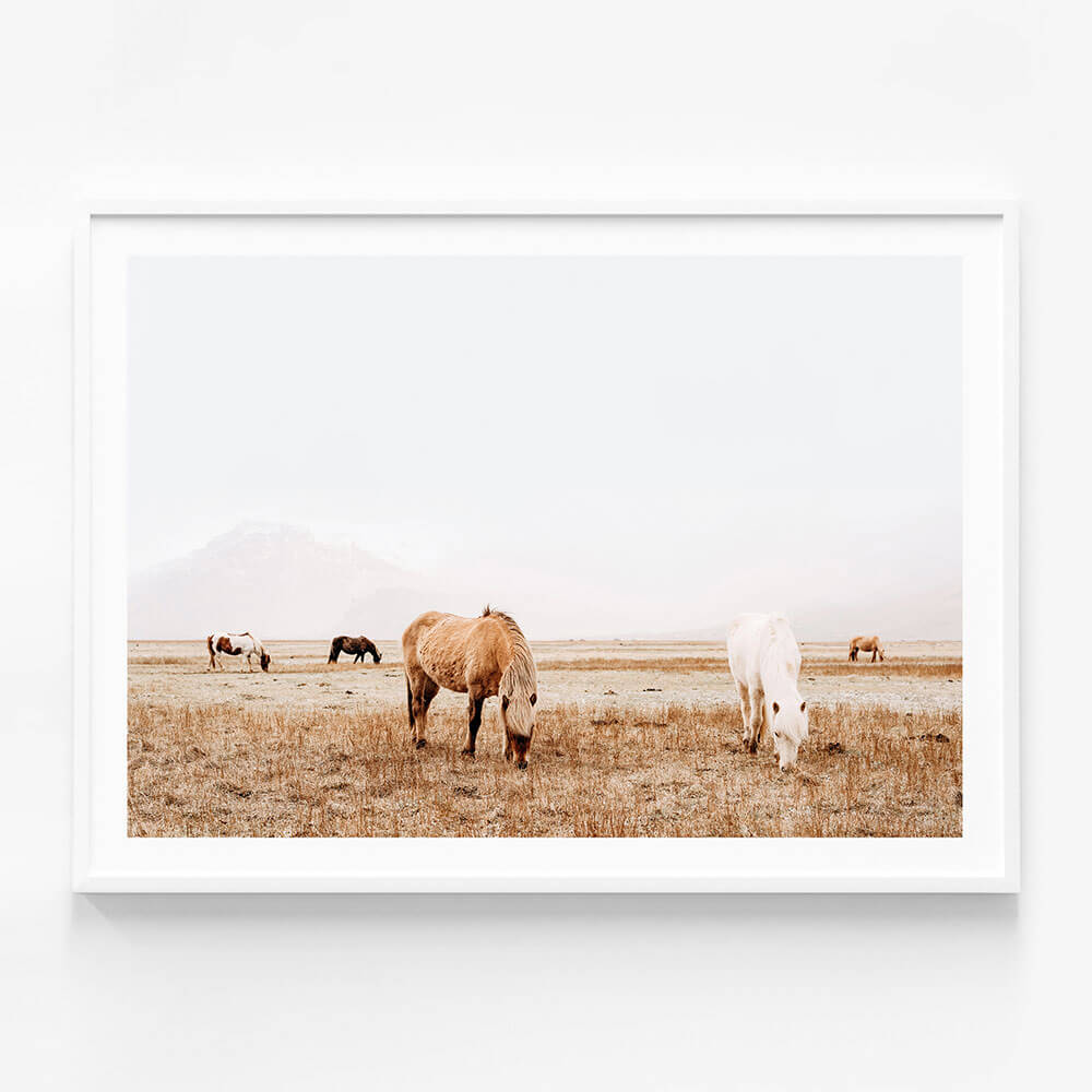 Grazing