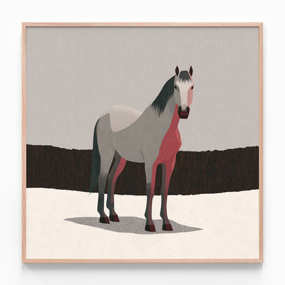 Grey Horse