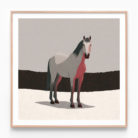 Grey Horse oak framed print