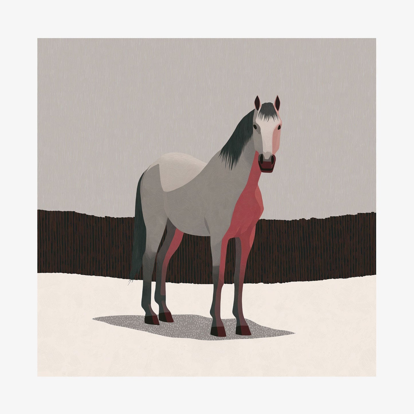 Grey Horse