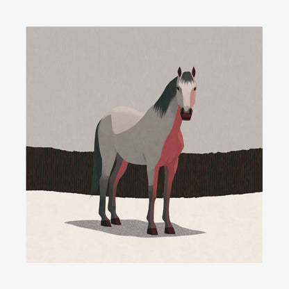 Grey Horse