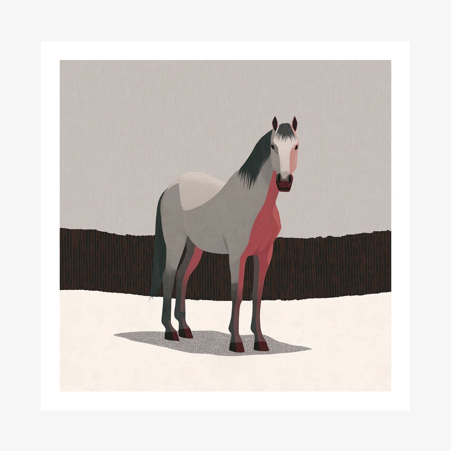 Grey Horse wall art print