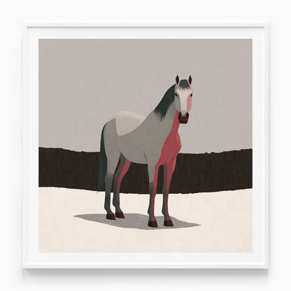 Grey Horse