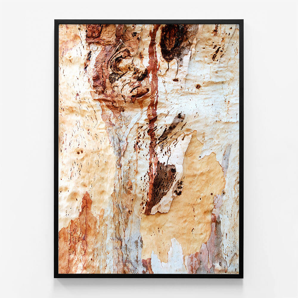 Gum Bark
