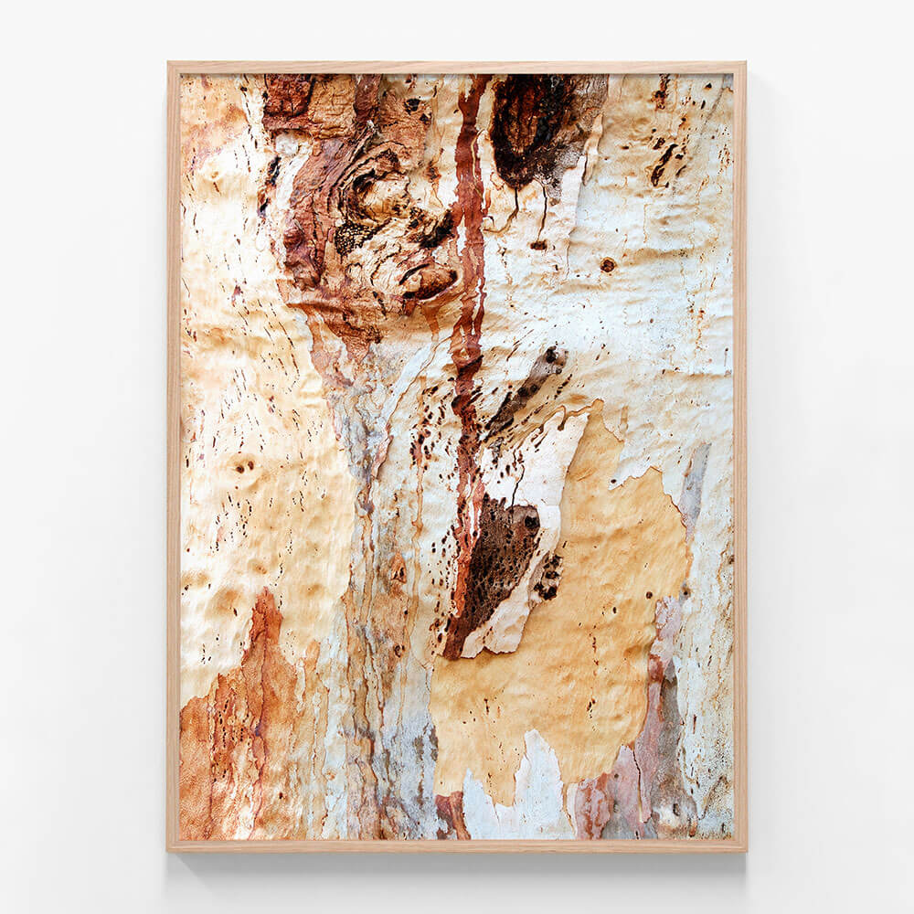 Gum Bark