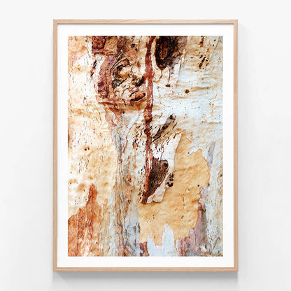 Gum Bark